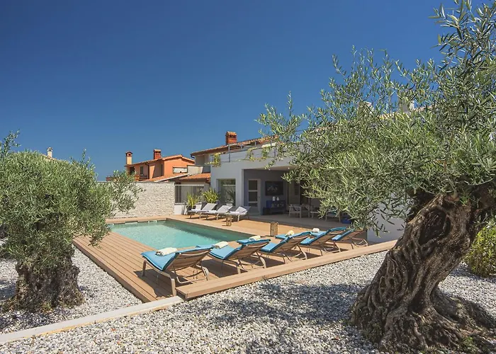 Vila In With Pool And Sea View Stinjan