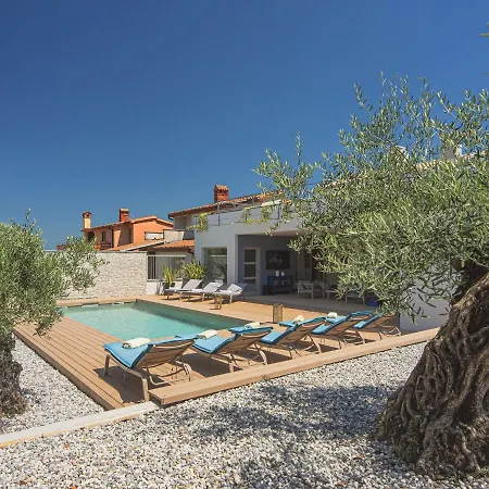 Villa In With Pool And Sea View Štinjan